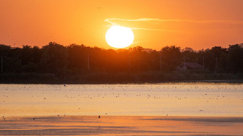 Palic smokey sunset close